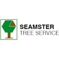 Seamster Tree & Stumpdoctor stump grinding