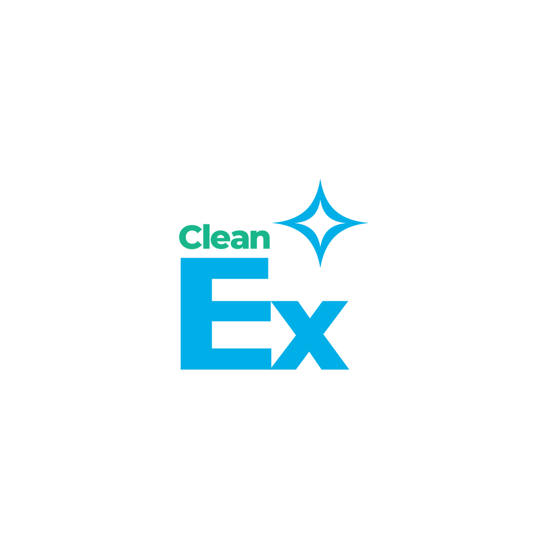 Clean Ex Marketing Services