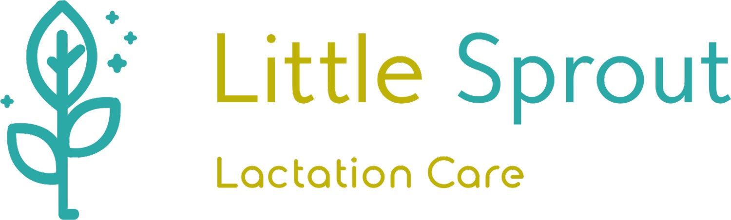 Little Sprout Lactation Care