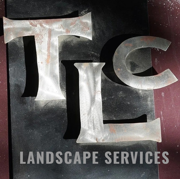 TLC lanscape