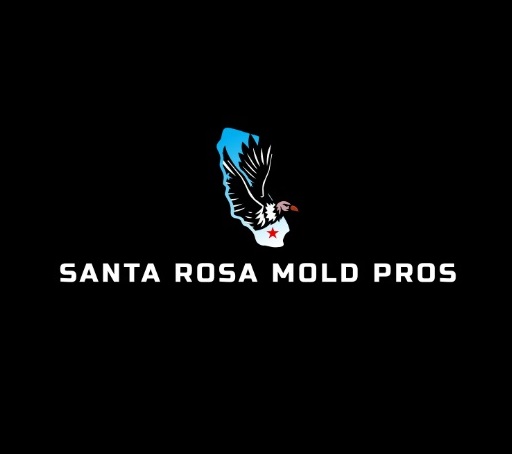 Santa Rosa Mold Pros