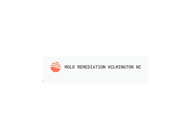 Mold Remediation Wilmington NC