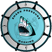 Shark pressure washing