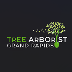 Tree Arborist Grand Rapids