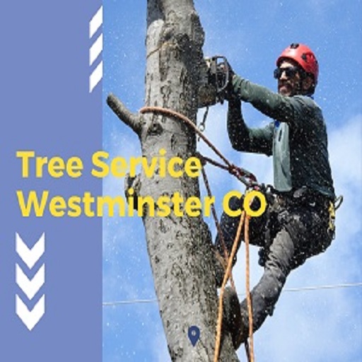 Tree Service Westminster CO