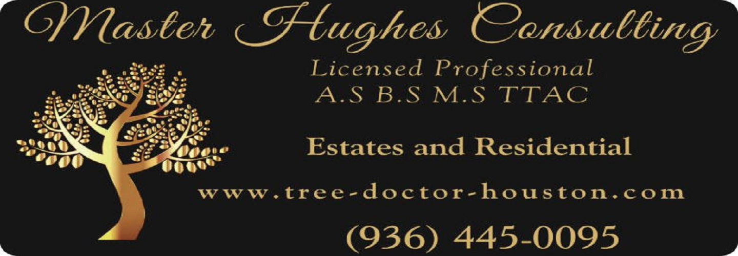 Tree Doctor Houston