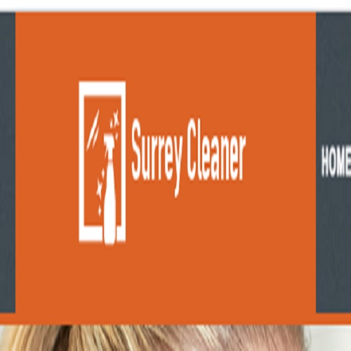 Surrey Cleaner