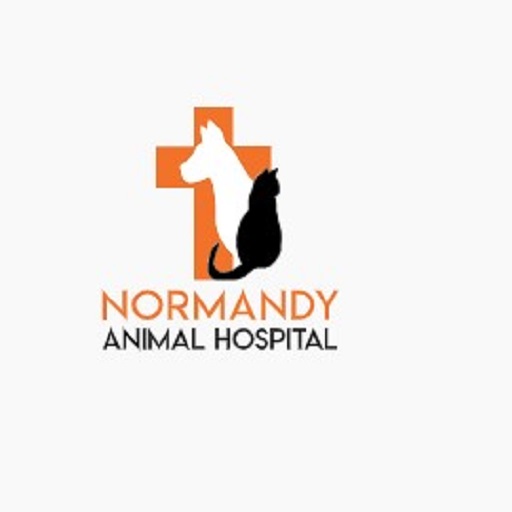 Normandy Animal Hospital