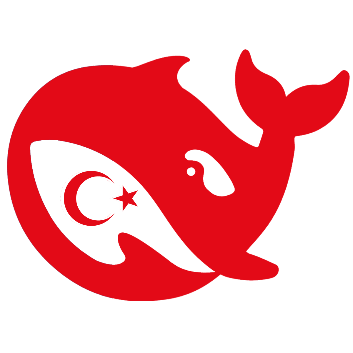 Deepseek Turkce