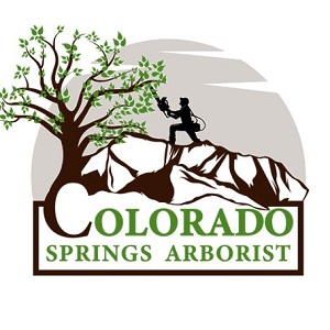 Colorado Springs Arborist