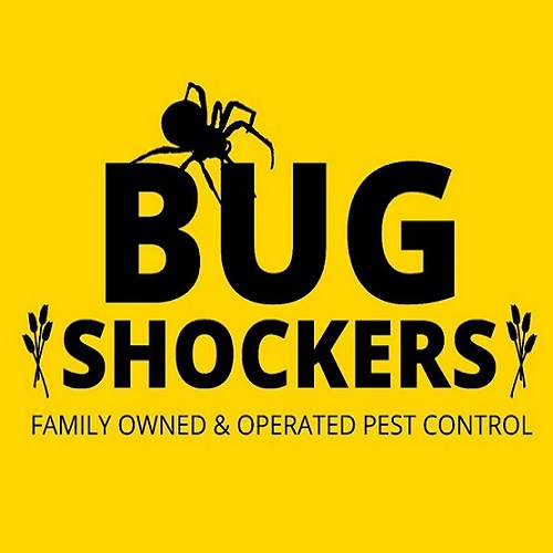 Bug Shockers