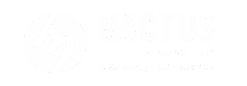 Mactus Mineral LLP