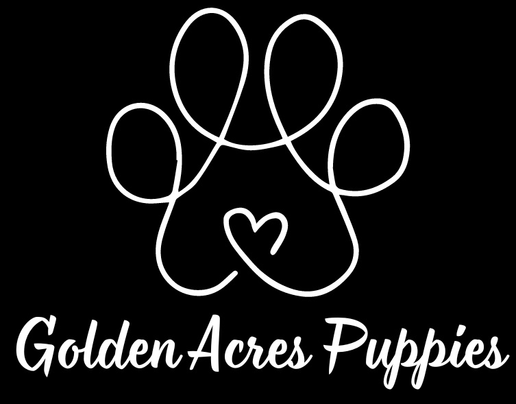 Golden Acres Puppies