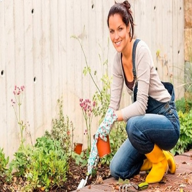 Lawn Mowing Pimlico