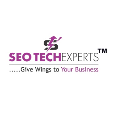 SEO Tech Experts Pvt Ltd - Delhi