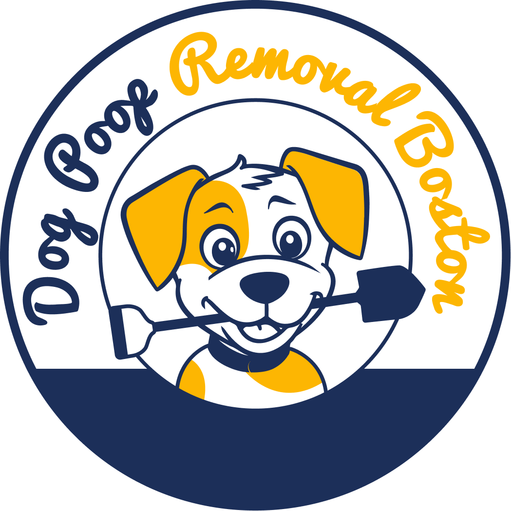 Dog Poop Removal Boston 