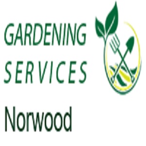 Gardening Services Norwood