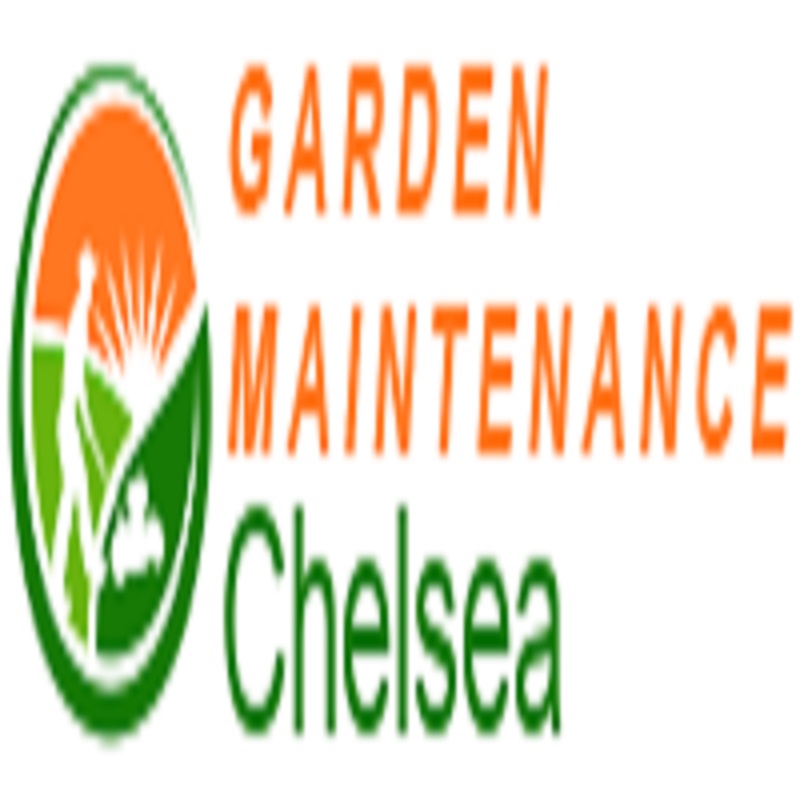 Garden Maintenance Chelsea