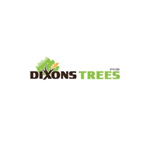 Dixons Trees