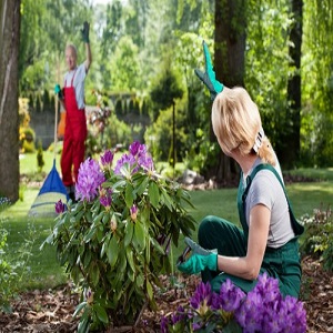 Gardening Services Gunnersbury