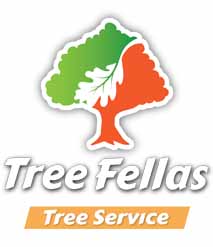 Tree Fellas