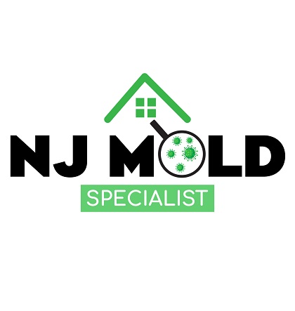 New Jersey Mold Specialist