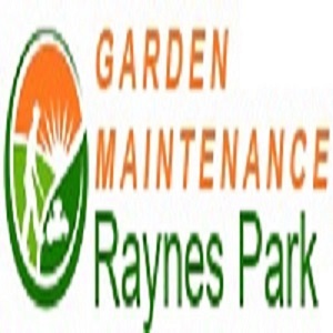 Garden Maintenance Raynes Park