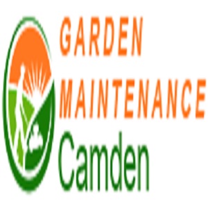 Garden Maintenance Camden