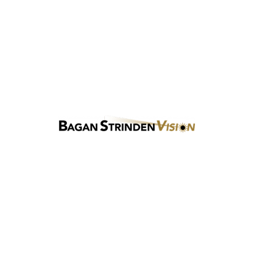 Bagan Strinden Vision