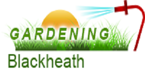 Gardening Blackheath