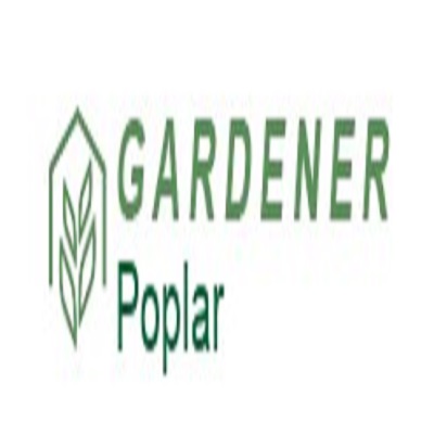 Gardener Poplar