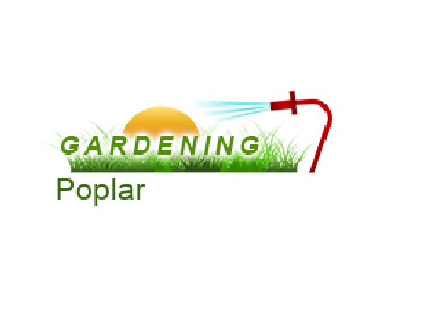 Gardening Poplar