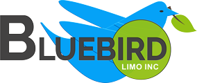 Bluebird Limo Inc