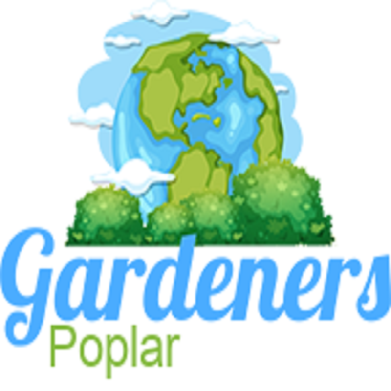 Gardeners Poplar