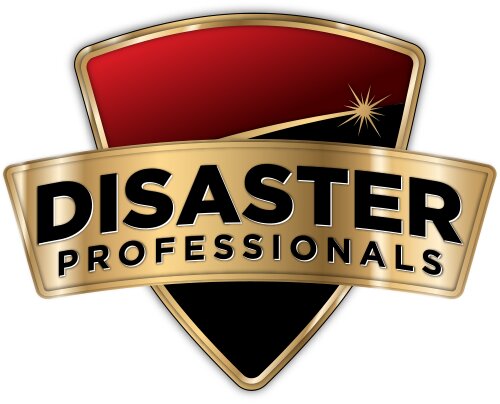 Disaster Professionals LLC