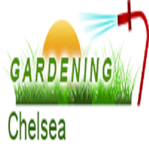  Gardening Chelsea