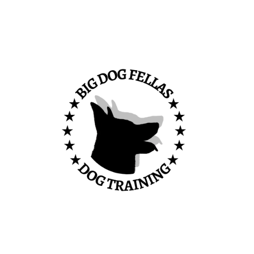 Big Dog Fellas | Dog Training