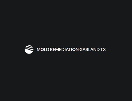 Mold Remediation Garland TX