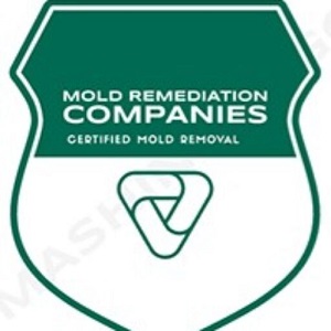 Barrington Mold Remediation Pros