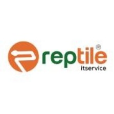 Reptile IT Service