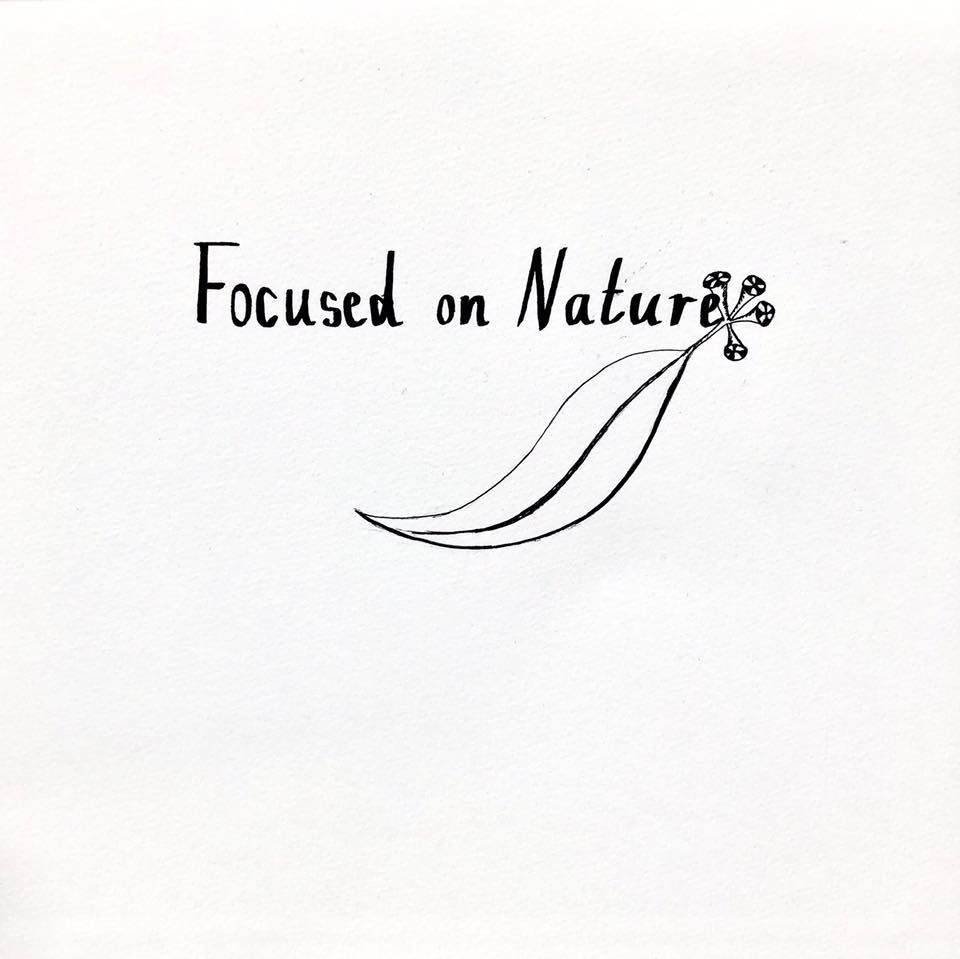 Focused on Nature