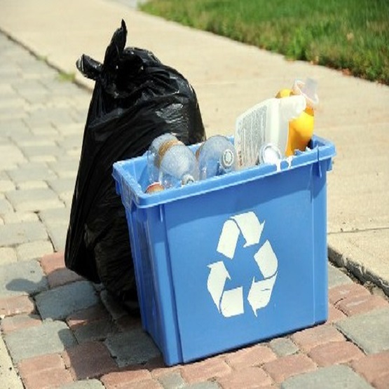 Commercial Waste Removal Mottingham