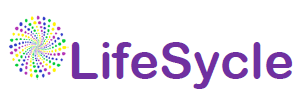 LifeSycle