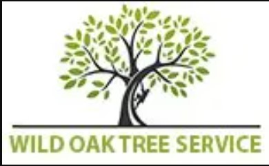 Round Rock Tree Experts